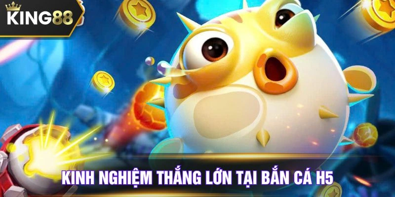 Bí quyết chọn đạn nhỏ khi giải trí online