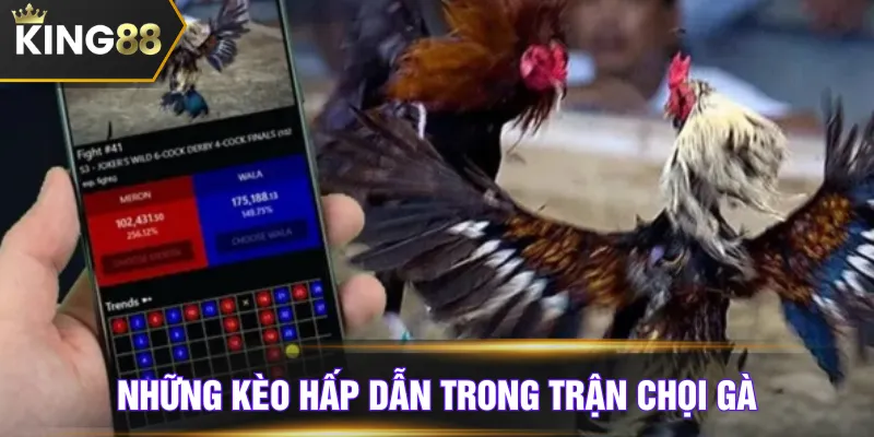 Những kèo hấp dẫn trong trận chọi gà