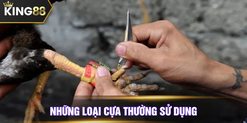 Những loại cựa thường sử dụng