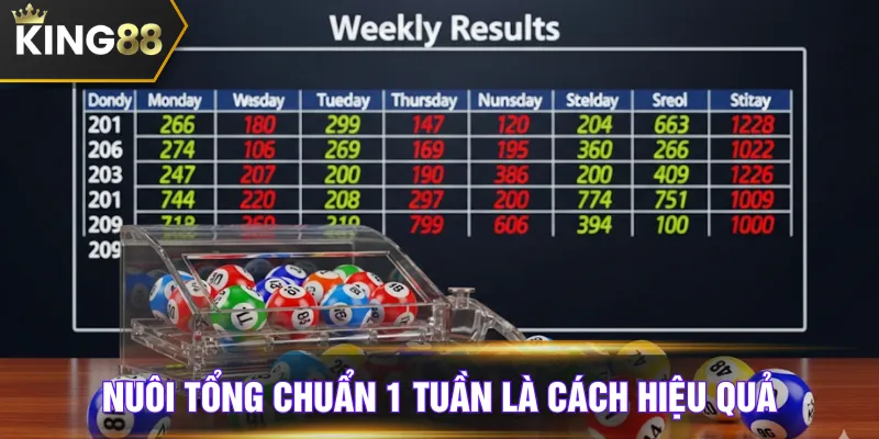 Nuôi tổng chuẩn 1 tuần là cách hiệu quả