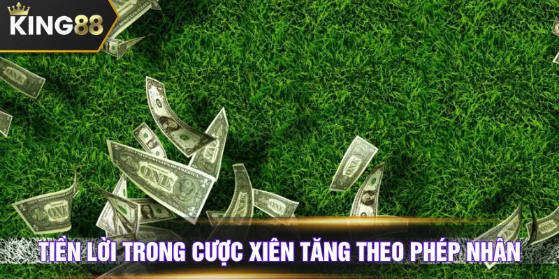 Tính lãi lỗ cược xiên không khó